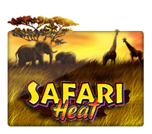 safariheat