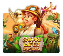 safarilifegw